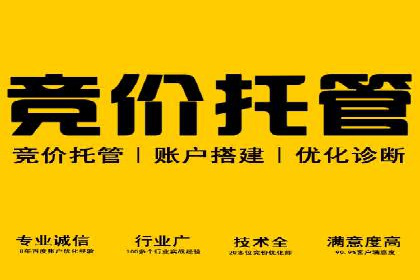 SEM代运营案例：提升网站流量与转化